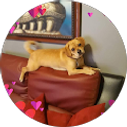 Profile photo of Betsy De Leon