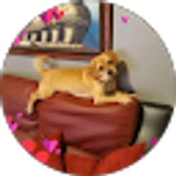 Profile photo of Betsy De Leon