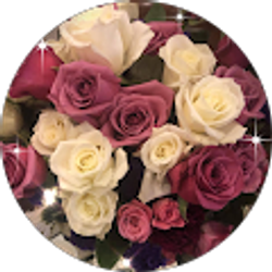 Profile photo of Nery Gainor