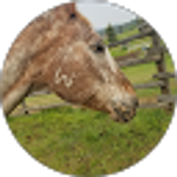 Profile photo of Kelly Abernathy