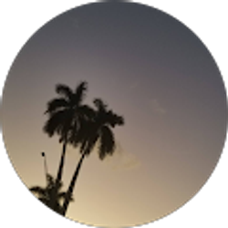 Profile photo of Robbie Chamoun