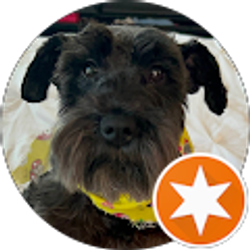 Profile photo of Alex Carrillo