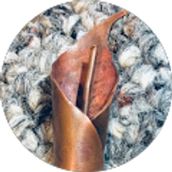 Profile photo of star gazer