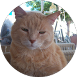 Profile photo of Karen Zobler