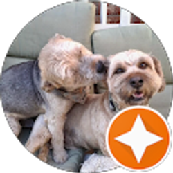 Profile photo of Jacey J