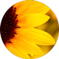 Profile photo of Hellen Miranda