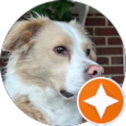 Profile photo of Doris Waddell