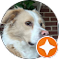 Profile photo of Doris Waddell