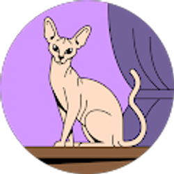 Profile photo of Ana Hernandez
