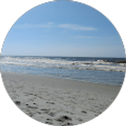 Profile photo of Kimberly Simpson