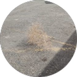 Profile photo of Ryan Fitzgibbons