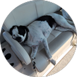 Profile photo of Travis Marlatte