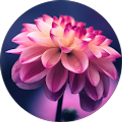 Profile photo of Nautiqua Jones