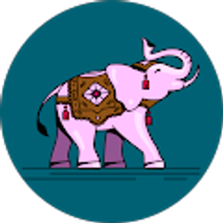 Profile photo of KELSIE