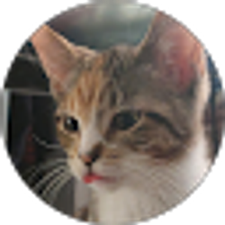 Profile photo of Natalie Clinkunbroomer