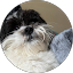 Profile photo of Marggie Zelaya