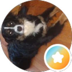 Profile photo of Sherri Stroupe