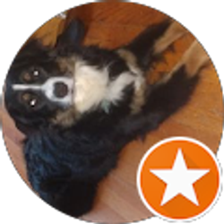 Profile photo of Sherri Stroupe