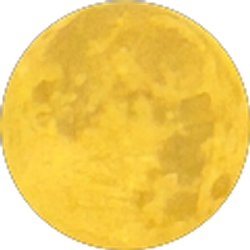 Profile photo of Kaleb Barton