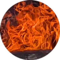 Profile photo of Mike Harris