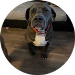 Profile photo of Yefrin Contreras