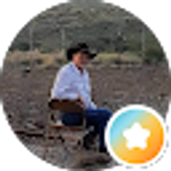 Profile photo of don brandon