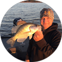 Profile photo of Basketball Ref