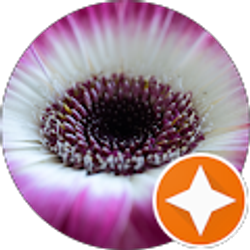 Profile photo of Doug Nelson