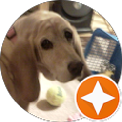 Profile photo of Sue Dobbins