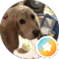 Profile photo of Sue Dobbins