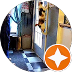 Profile photo of Dianne Cox