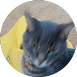 Profile photo of Lynda Johnson