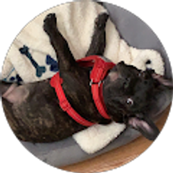 Profile photo of Manuel Baca