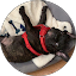 Profile photo of Manuel Baca