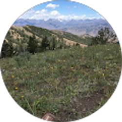 Profile photo of Debbie Wenner