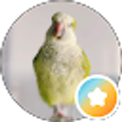 Profile photo of Jecca T.