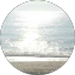 Profile photo of jen law