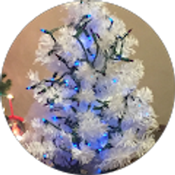 Profile photo of Michelle Hernandez