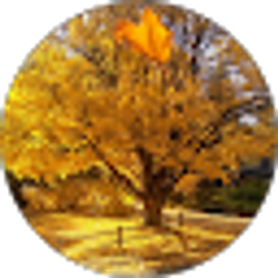 Profile photo of Todd Williams