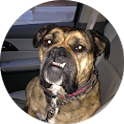 Profile photo of Brian Hoban