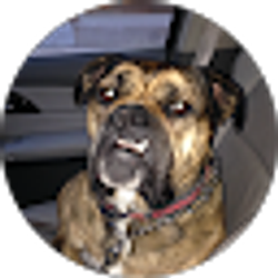 Profile photo of Brian Hoban