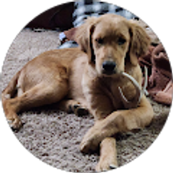 Profile photo of Jeff Johnson