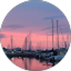 Profile photo of M