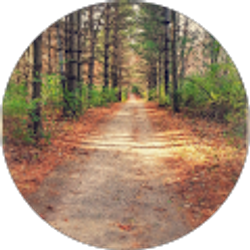 Profile photo of Erika Richards