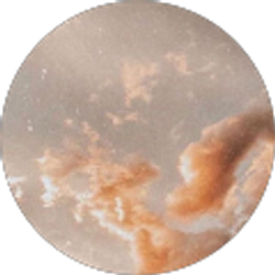 Profile photo of Pam Sollars