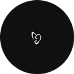 Profile photo of LT. Mexy