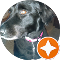 Profile photo of Angela Hochell