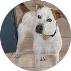 Profile photo of ben cain