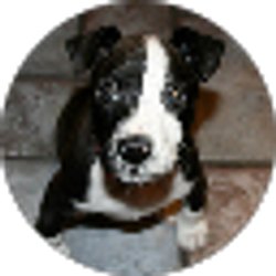 Profile photo of Barbara Stokes