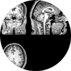 Profile photo of David Forero